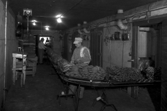 Sorting bananas at the Nash Finch Company Warehouse