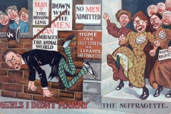 Anti-Suffrage cartoon